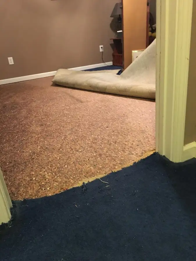 Carpet pad removal revealing water damage during Water Mitigation Services in Fleming Island