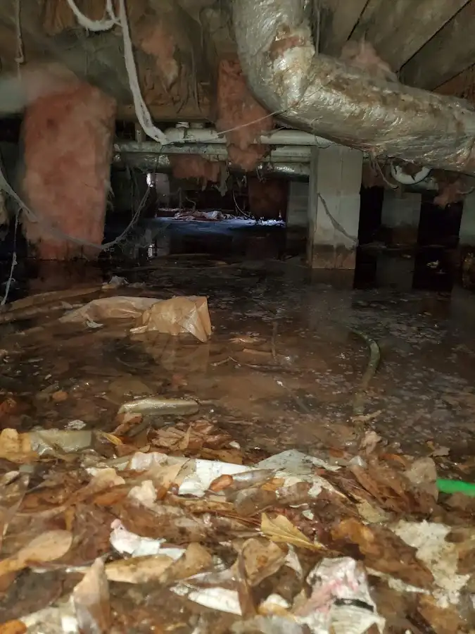Crawl space flood assessment for Leak Detection & Repair in Fleming Island